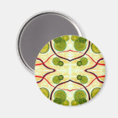 Green Cream Float Magnet Magneet (Voorkant / Achterkant)
