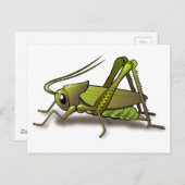 Green Cricket Insect Briefkaart (Voorkant / Achterkant)