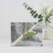 Green Cricket Macro Briefkaart (Staand voorkant)