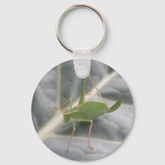 Green Cricket Macro Sleutelhanger (Voorkant)
