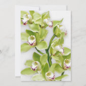 Green Cymbidium Orchid First Communitation Invitat Kaart (Achterkant)