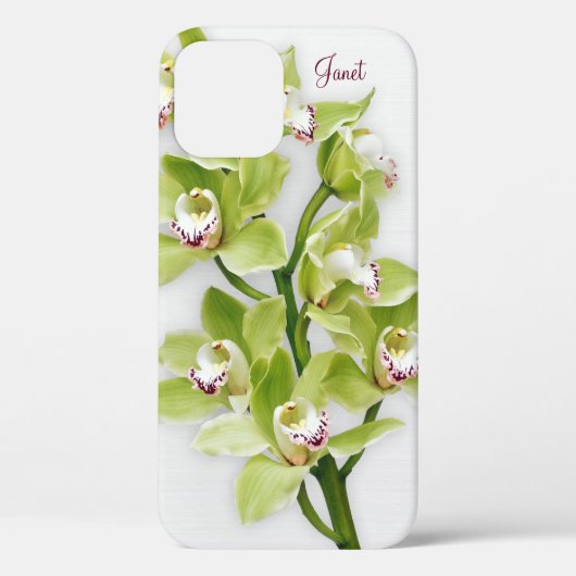 Green Cymbidium Orchid Floral iPhone 6 coque (Verso)