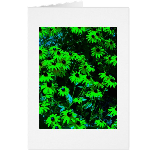 Green Daisies (Voorkant)