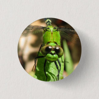 "Green Dragon" Eco Pin Ronde Button 3,2 Cm