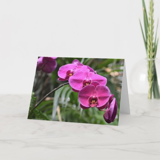 Green Earth, kaart (Voorkant)