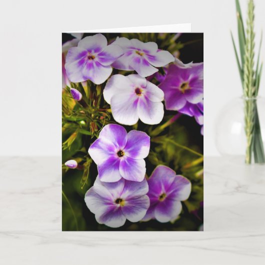 Green Earth, kaart (Voorkant)