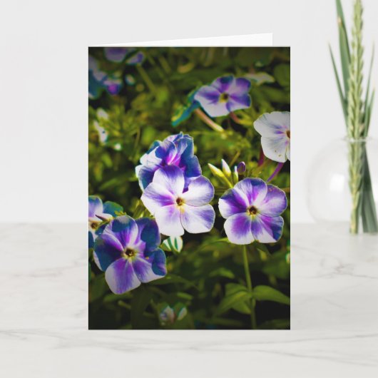 Green Earth, kaart (Voorkant)