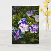 Green Earth, kaart (Gele Bloem)