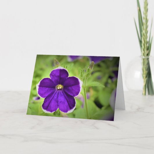 Green Earth, kaart (Voorkant)