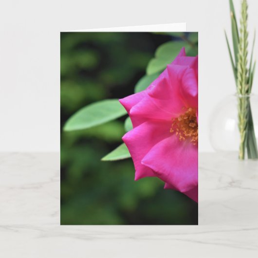 Green Earth, kaart (Voorkant)