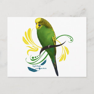 Green English Budgie Briefkaart