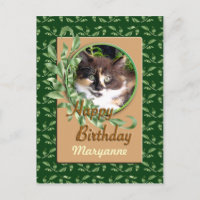 Green Eyed Calico Kitten Bonne carte postale Anniv