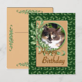 Green Eyed Calico Kitten Carte postale Anniversair (Devant / Derrière)