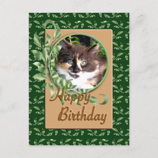 Green Eyed Calico Kitten Carte postale Anniversair (Devant)
