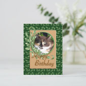 Green Eyed Calico Kitten Carte postale Anniversair (Debout devant)