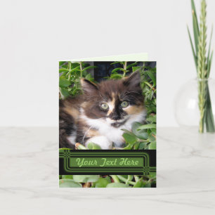 Green Eyed Cat Note Card Kaart
