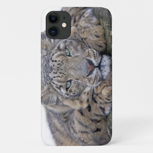 Green-Eyed Gaze iPhone 11 Hoesje (Achterkant)