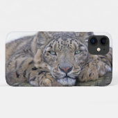 Green-Eyed Gaze iPhone 11 Hoesje (Achterkant (horizontaal))