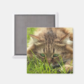 Green Eyed Hunter Magneet (Voorkant / Achterkant)