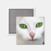 Green Eyed White Cat Magnet Magneet (Voorkant / Achterkant)