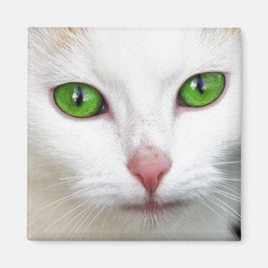 Green Eyed White Cat Magnet Magneet (Voorkant)