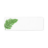 Green Fern Etiket (Voorkant)