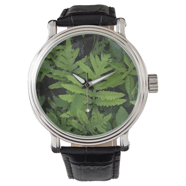Green Fern Horloge (Voorkant)