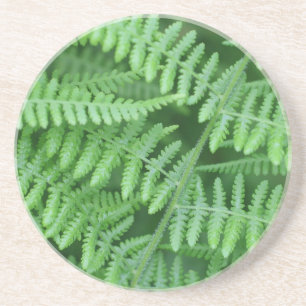 Green Fern Motif Nature Boire Dessous de verre