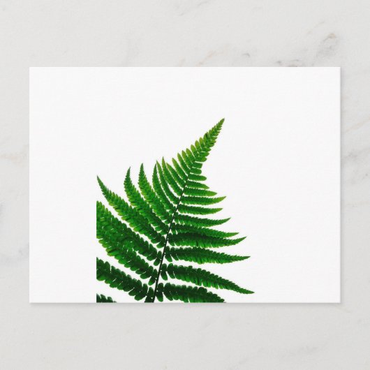 Green Fern Print Woodlands Leaf Briefkaart (Voorkant)