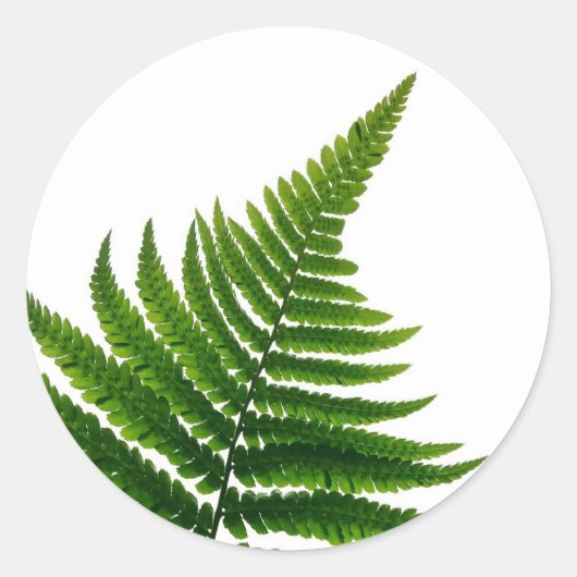 Green Fern Print Woodlands Leaf Ronde Sticker (Voorkant)