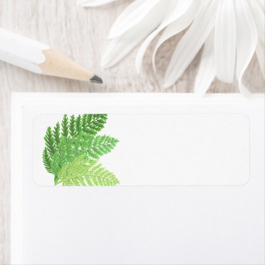 Green Fern Trio Etiket (Insitu)