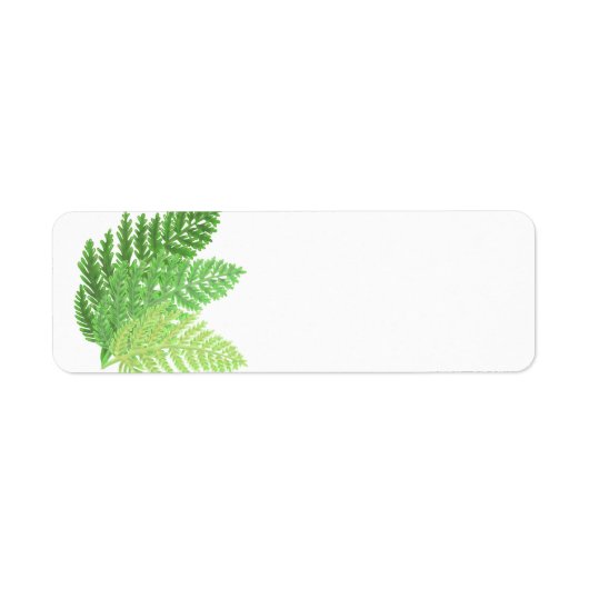 Green Fern Trio Etiket (Voorkant)