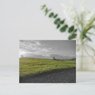 Green Fields-Briefkaart Briefkaart
