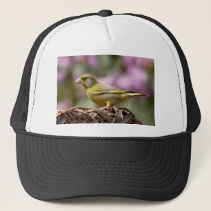 Green Finch Trucker Pet