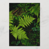 Green forest fern, Earth Day Card (Voorkant)