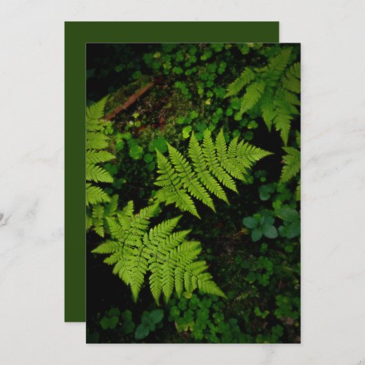 Green forest fern, Earth Day Card (Voorkant / Achterkant)