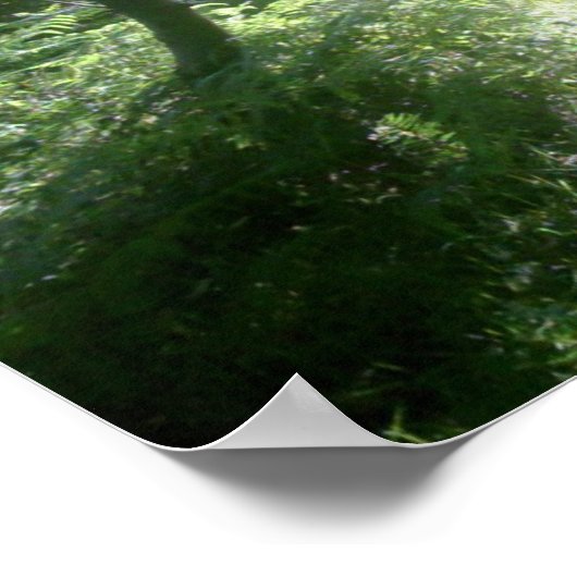 Green Forest Glade Poster (Hoek)