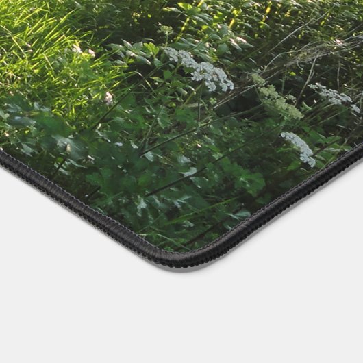 Green Forest Meadow (Coin)