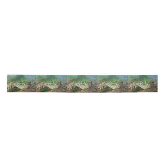 Green Frog Mossy Frog Lint (Voorkant)