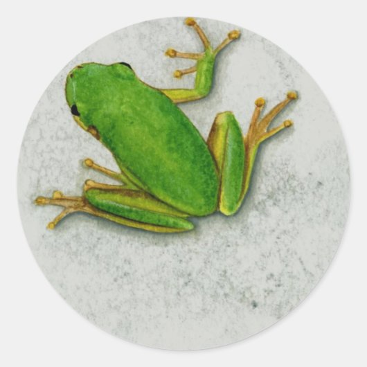 Green Frog Sticker Sheet (Voorkant)