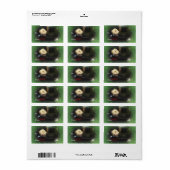 Green Frosty S'mores Snowman Cadeau Étiquette (Feuille entière)