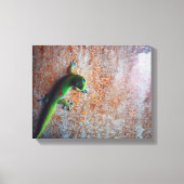 Green Gecko Canvas Print (Voorkant)