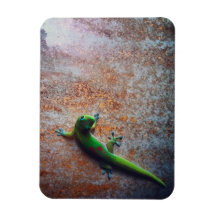 Green Gecko Flexi Magnet