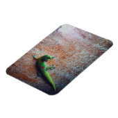 Green Gecko Flexi Magnet Magneet (Linkerzijde)