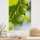 Green Gooseberries CC0208 Wake Up Poster (Cuisine)