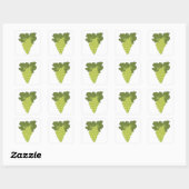 Green Grapes Square Sticker (Vel)