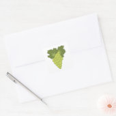Green Grapes Square Sticker (Envelop)