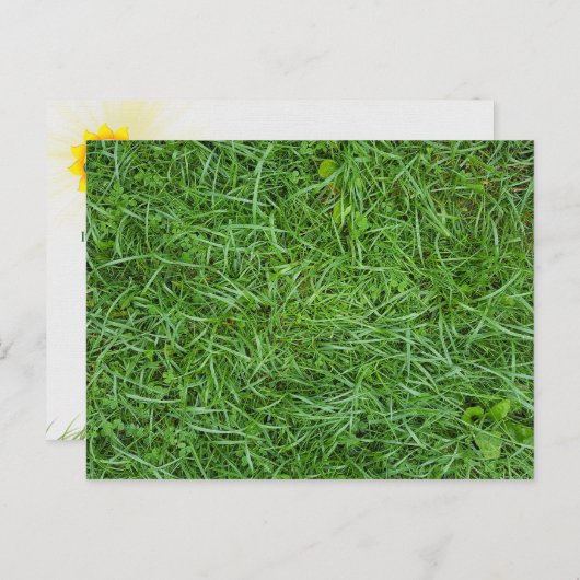 Green Grass Briefkaart (Voorkant / Achterkant)