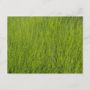 Green Grass Briefkaart