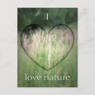 Green Grass Heart Briefkaart